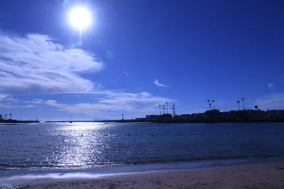 DSC_0804 (Large).JPG